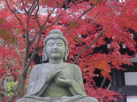 Hasedera Kamakura.jpg