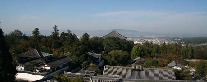 img20090409_1.jpg
