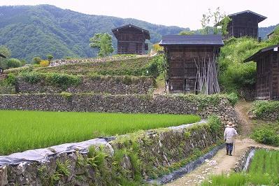 Unspoiled countryside of Japan.jpg