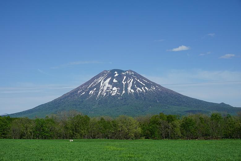 Family_Hokkaido_Yoteizan.jpg