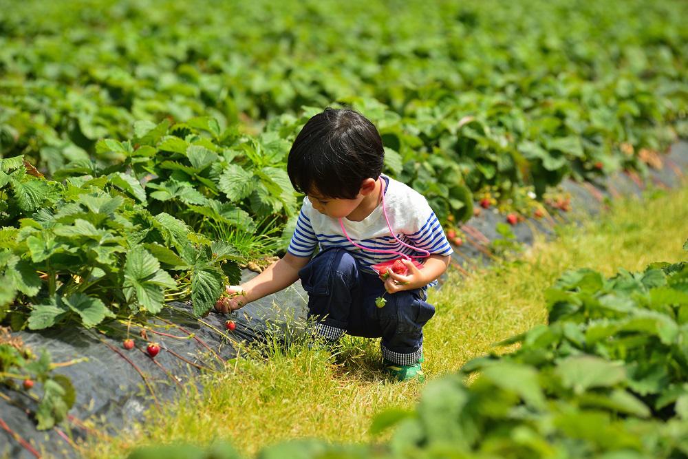 Family_Travel_Hokkaido.jpg