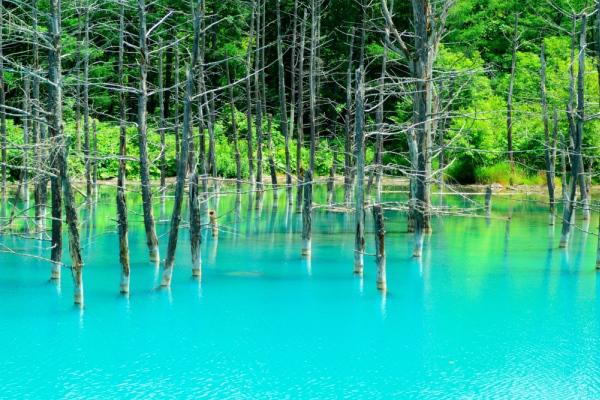 Hokkaido Blue pond.jpg