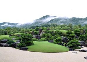 bonsai.adachi museum.jpg