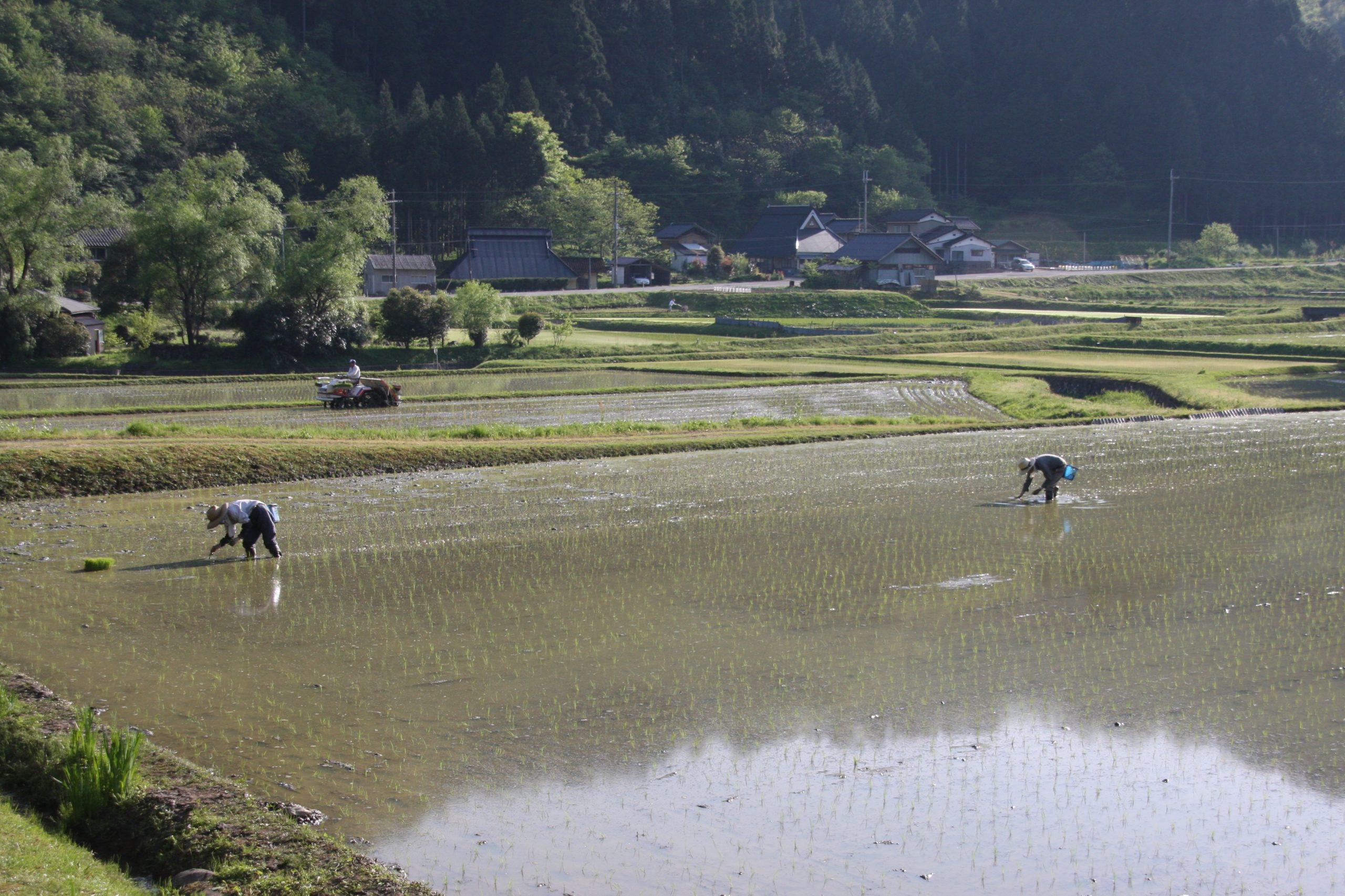 northern_kyoto_ayabe.jpg