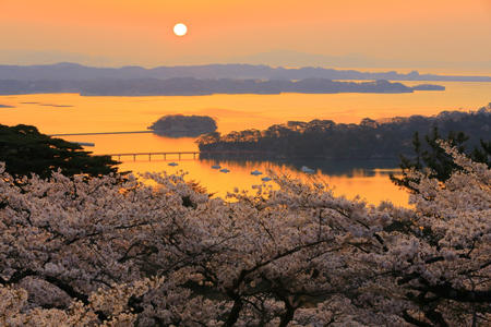 Honeymoon-Japan