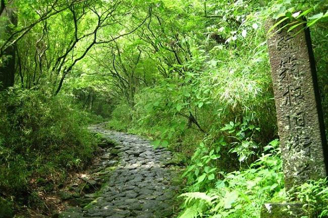 Hakone_Tour_Kyukaido.jpg