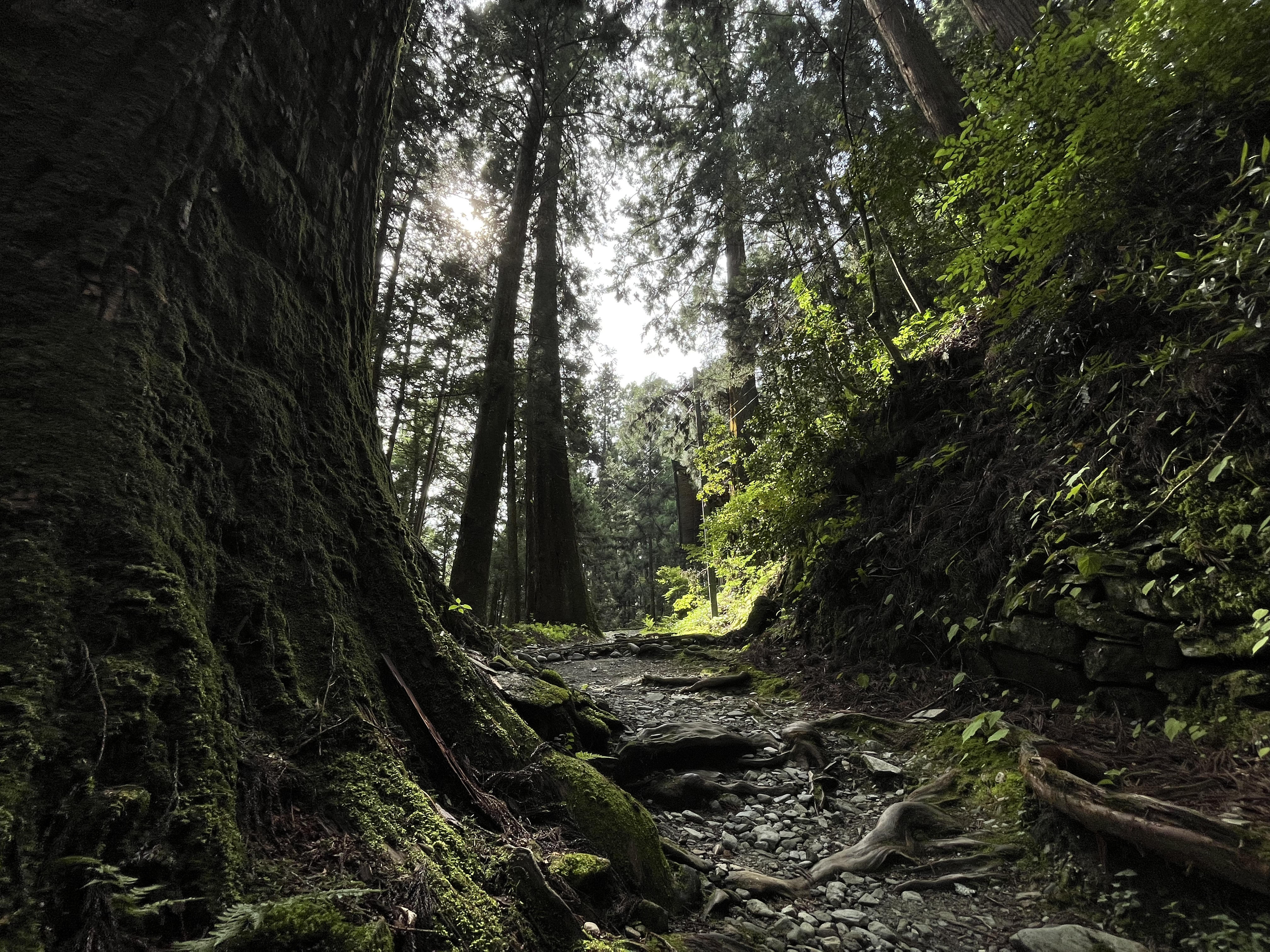 shikoku_pilgrimage_private_tour_path_2.jpg