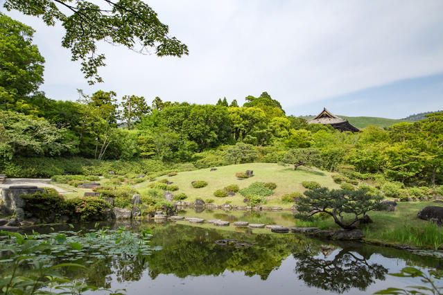 Nara Private Tour - Isuien.jpg