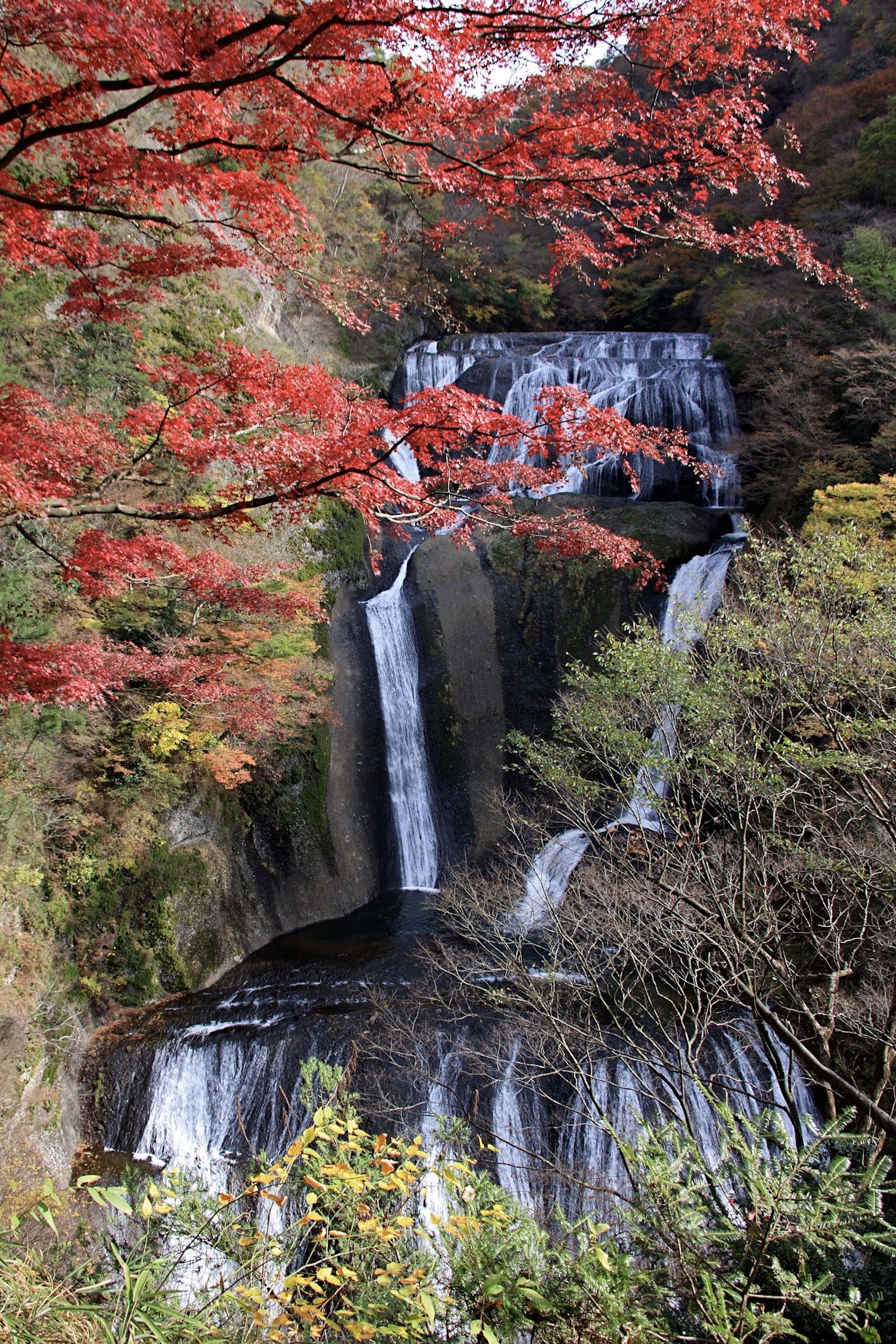 Northern Ibaraki Private Tour_Fukuroda Waterfalls in autumn.jpg