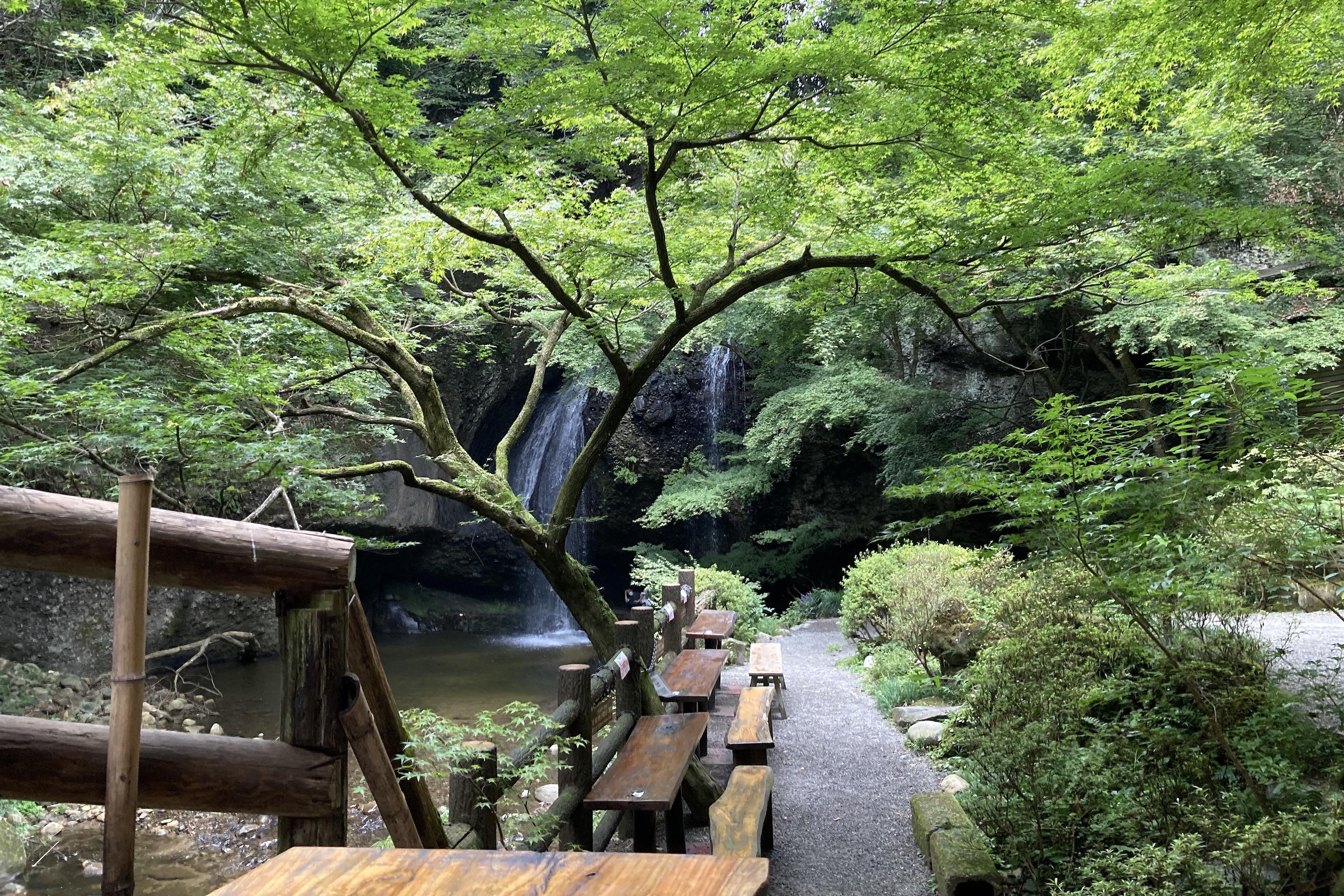 Northern Ibaraki Private Tour_Waterfalls, table and benches.jpg
