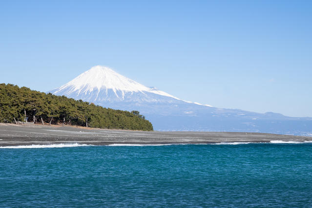 Shizuoka_Private_Tour_Green_Mihonomatsubara.jpg