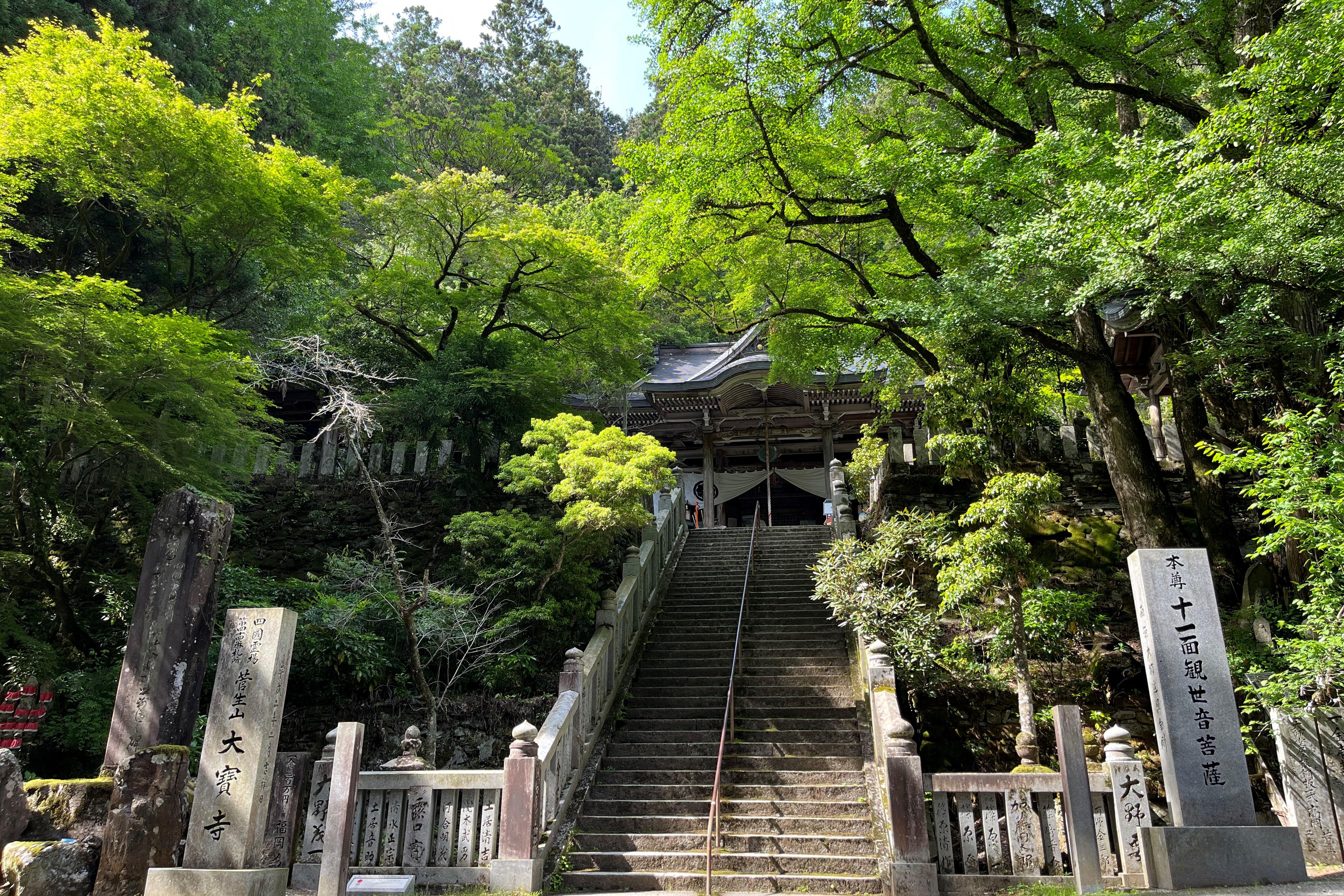 shikoku_pilgrimage_private_tour_daihoji.jpg