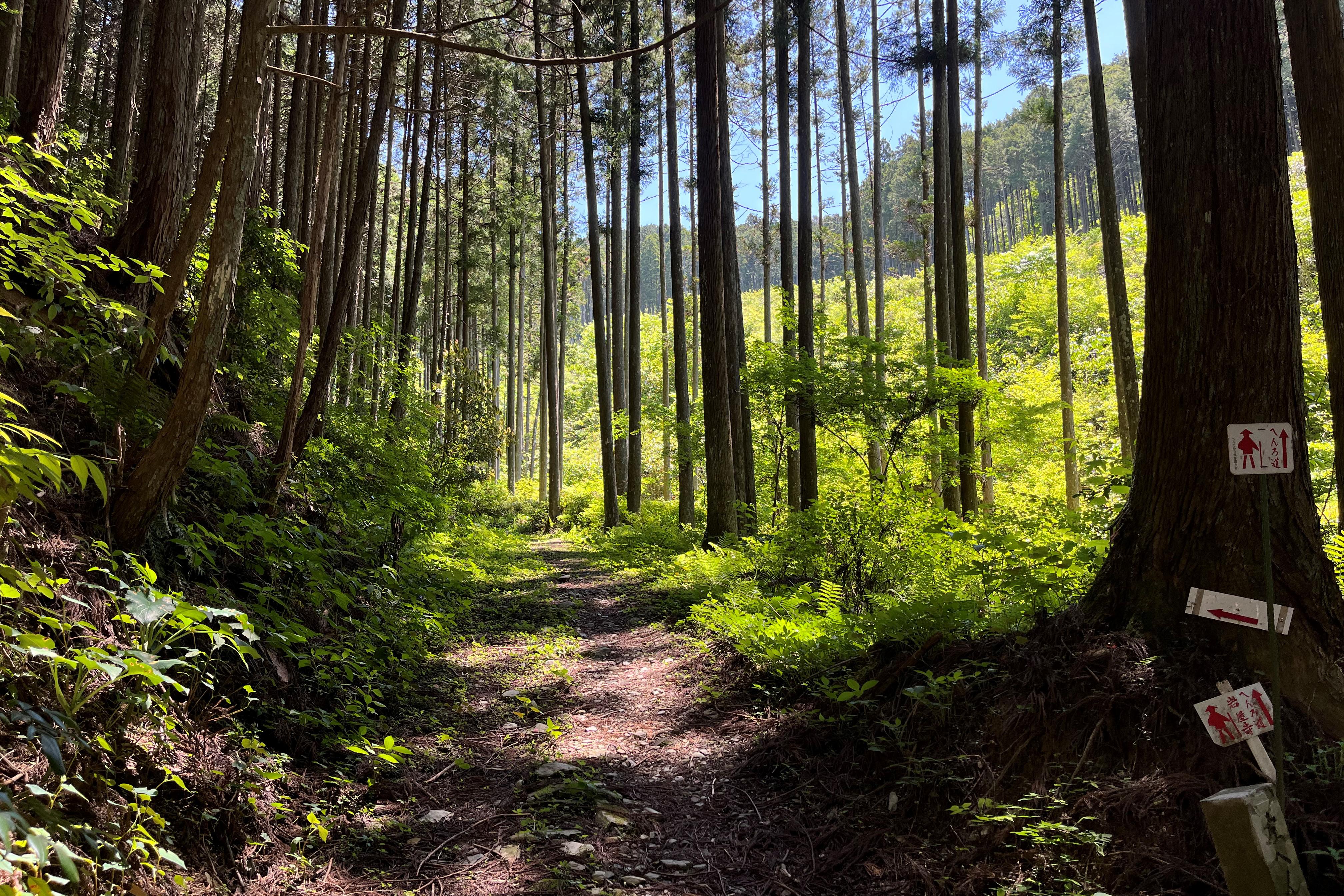 shikoku_pilgrimage_private_tour_pilgrimage_path.jpg