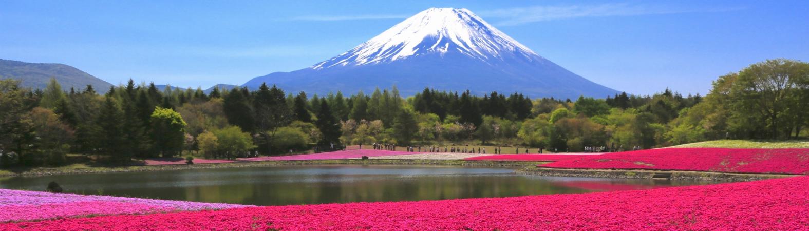 Japan Travel Experts Specializing in Creating Tailor-Made Itineraries