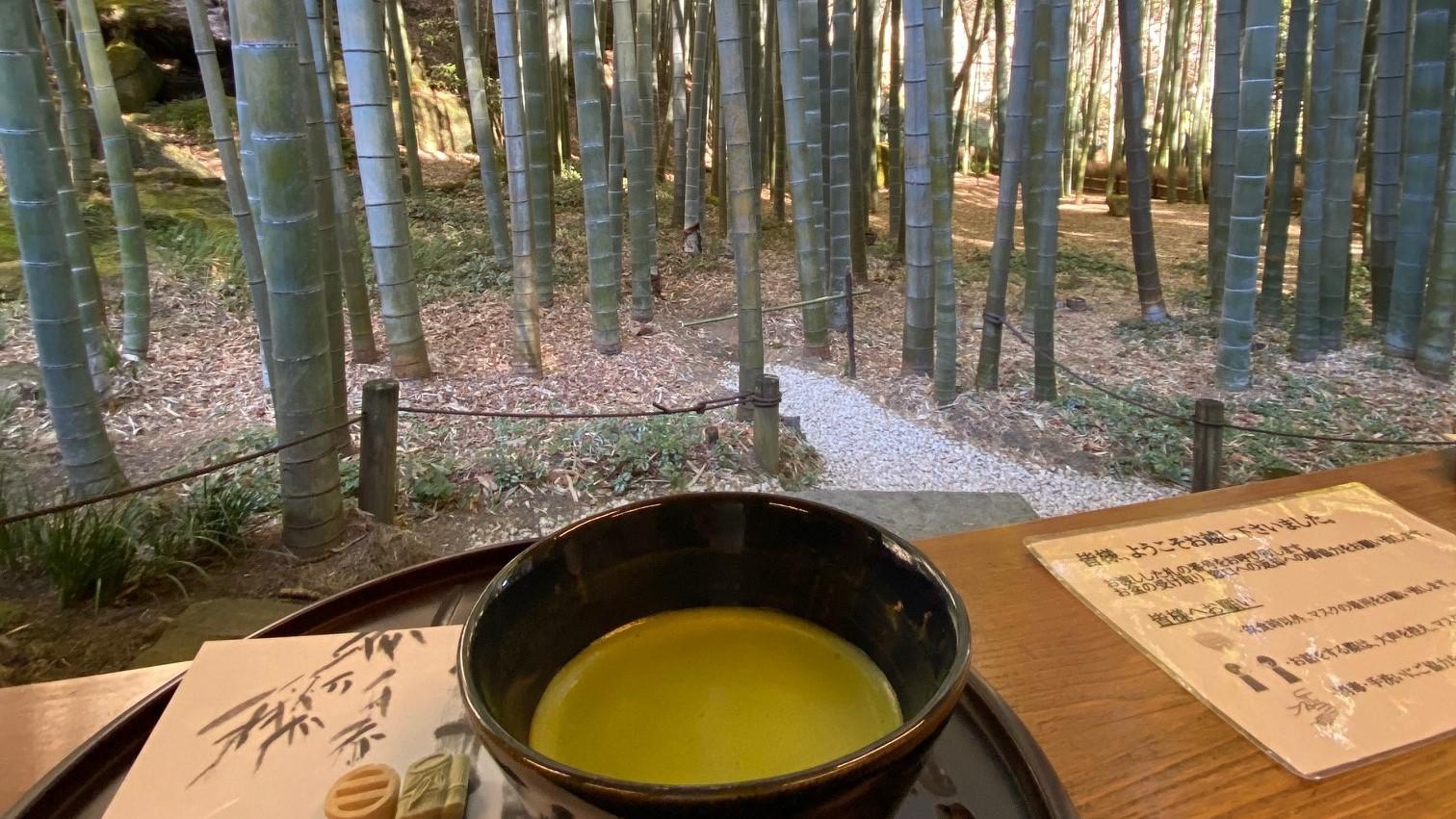 Hokokuji_Bamboo_Temple_Macha.jpg