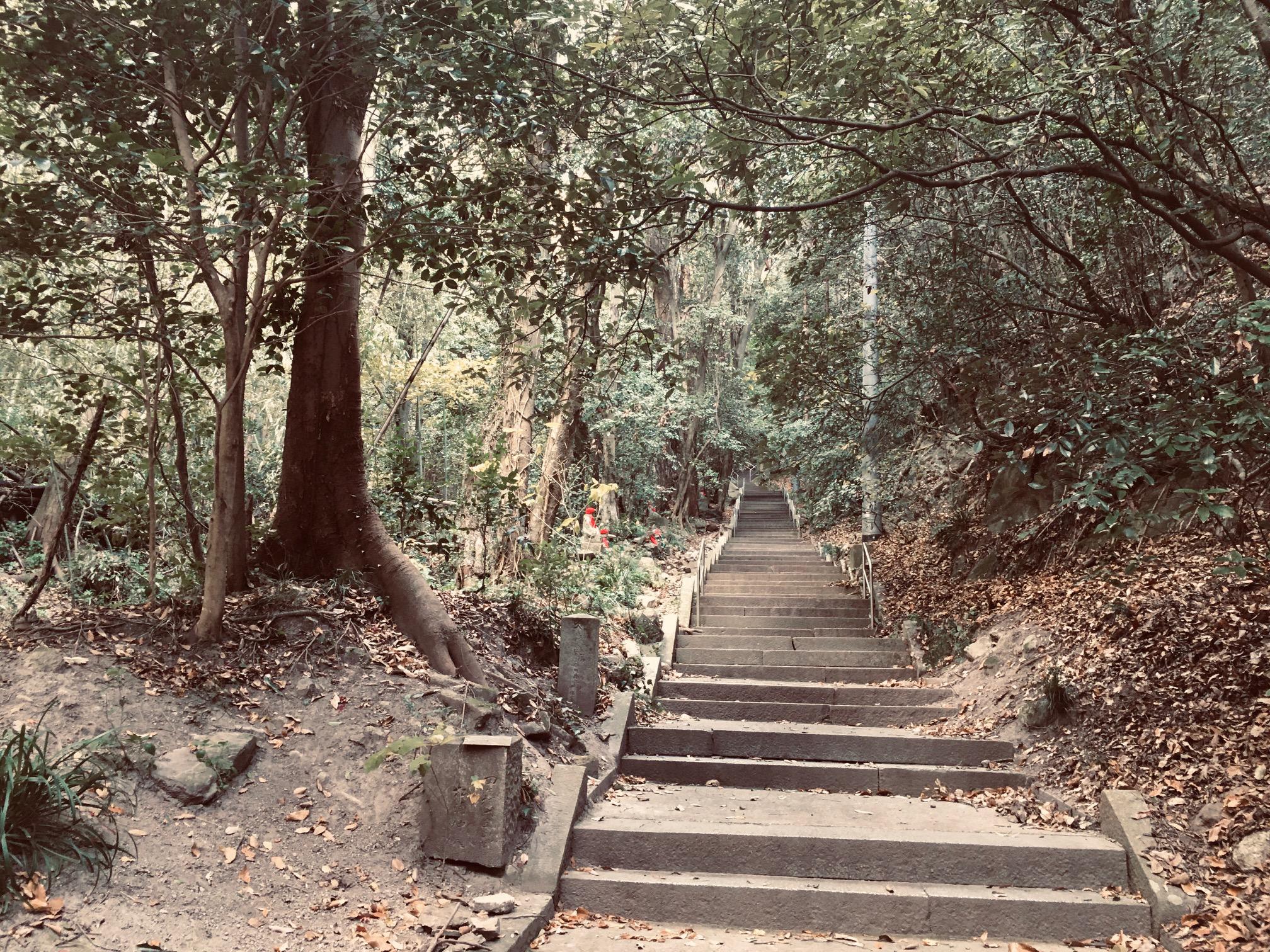 Iyadaniji_hike.jpg