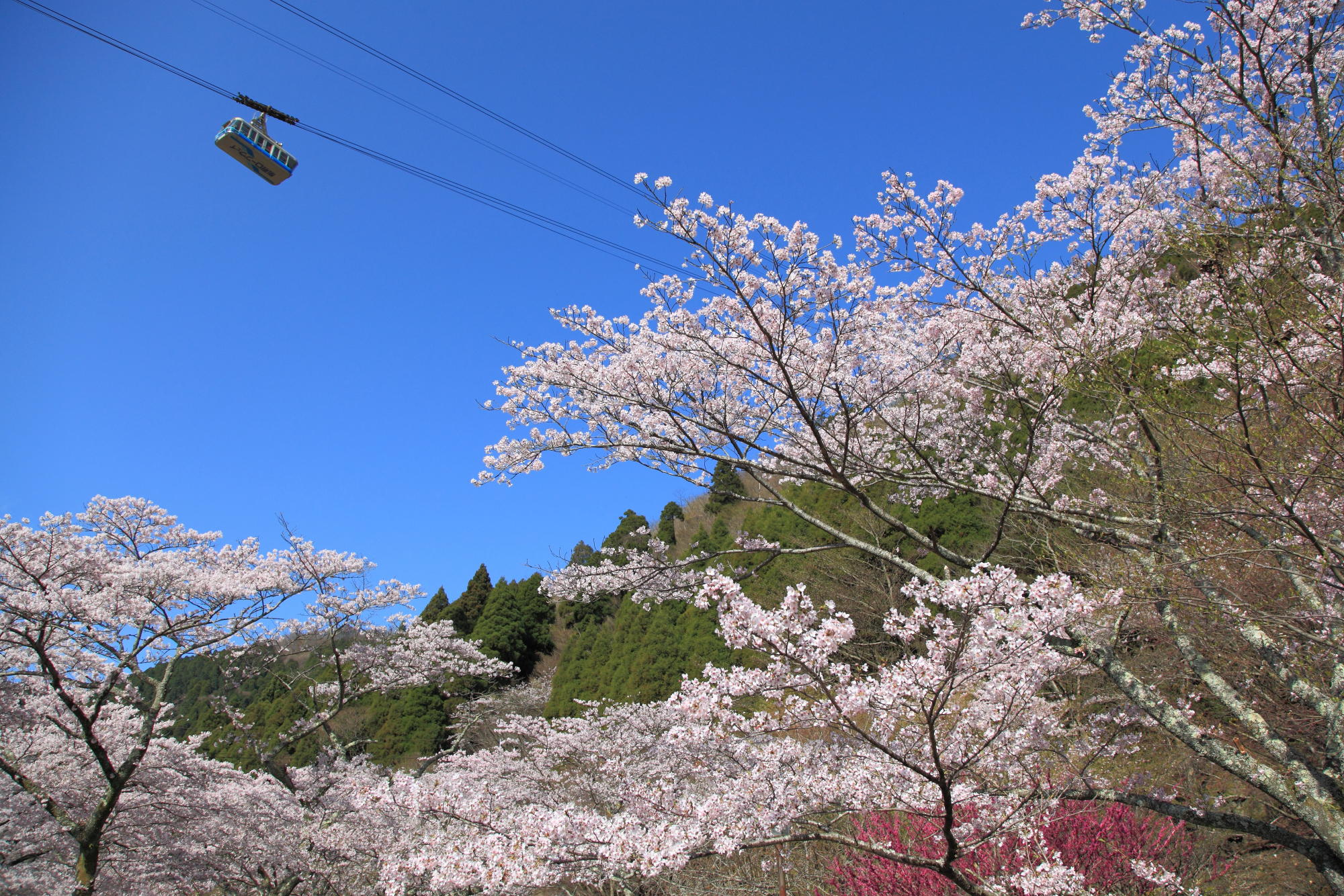 Oita_Ropeway.jpg