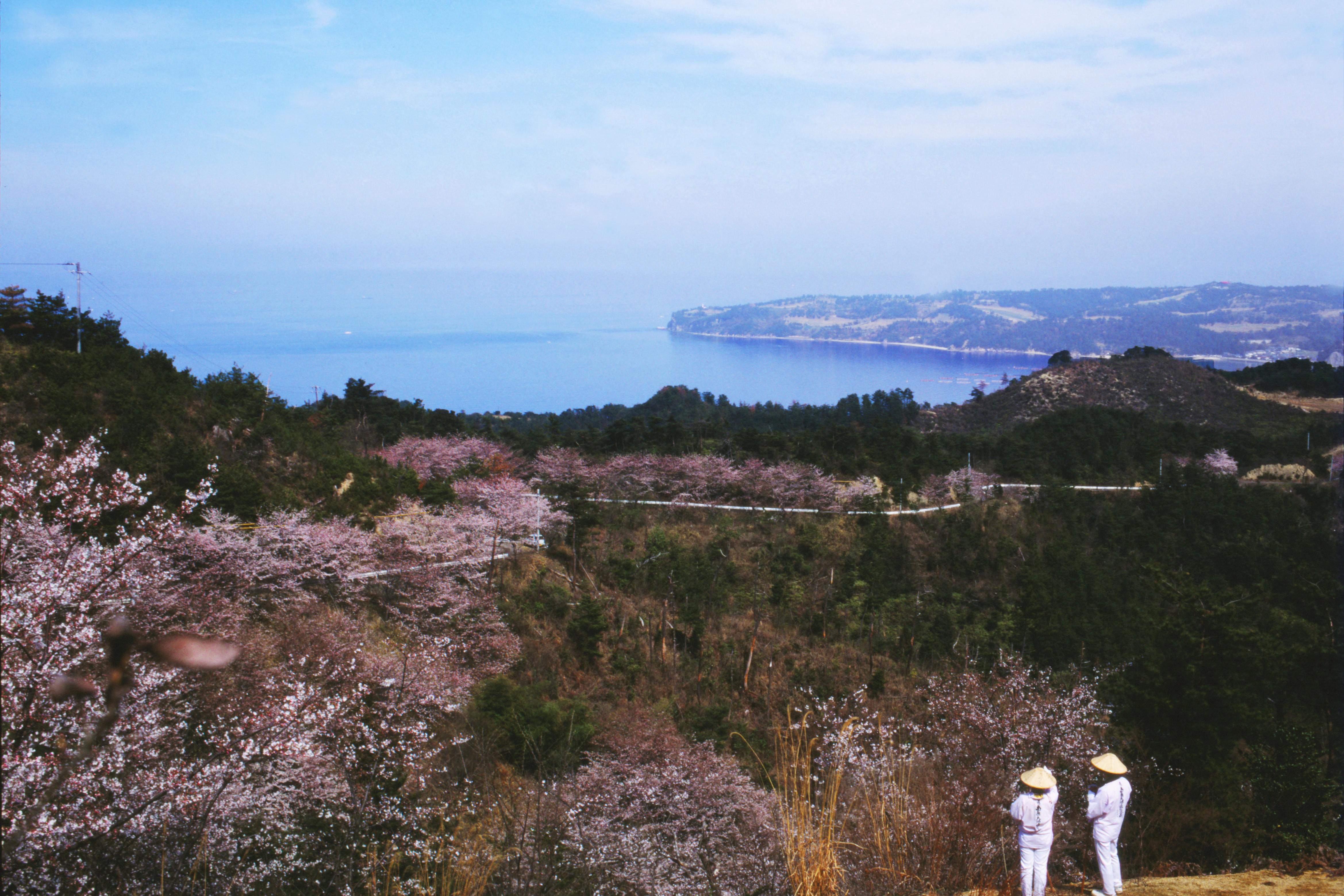 Spiritual Wellbeing_Shikoku Pilgrimage.jpg