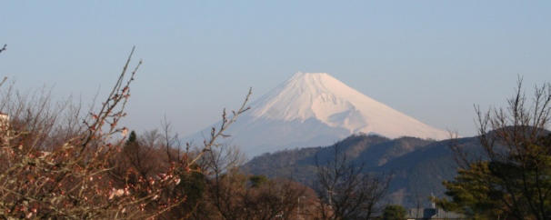 img_izuhakone_00.jpg