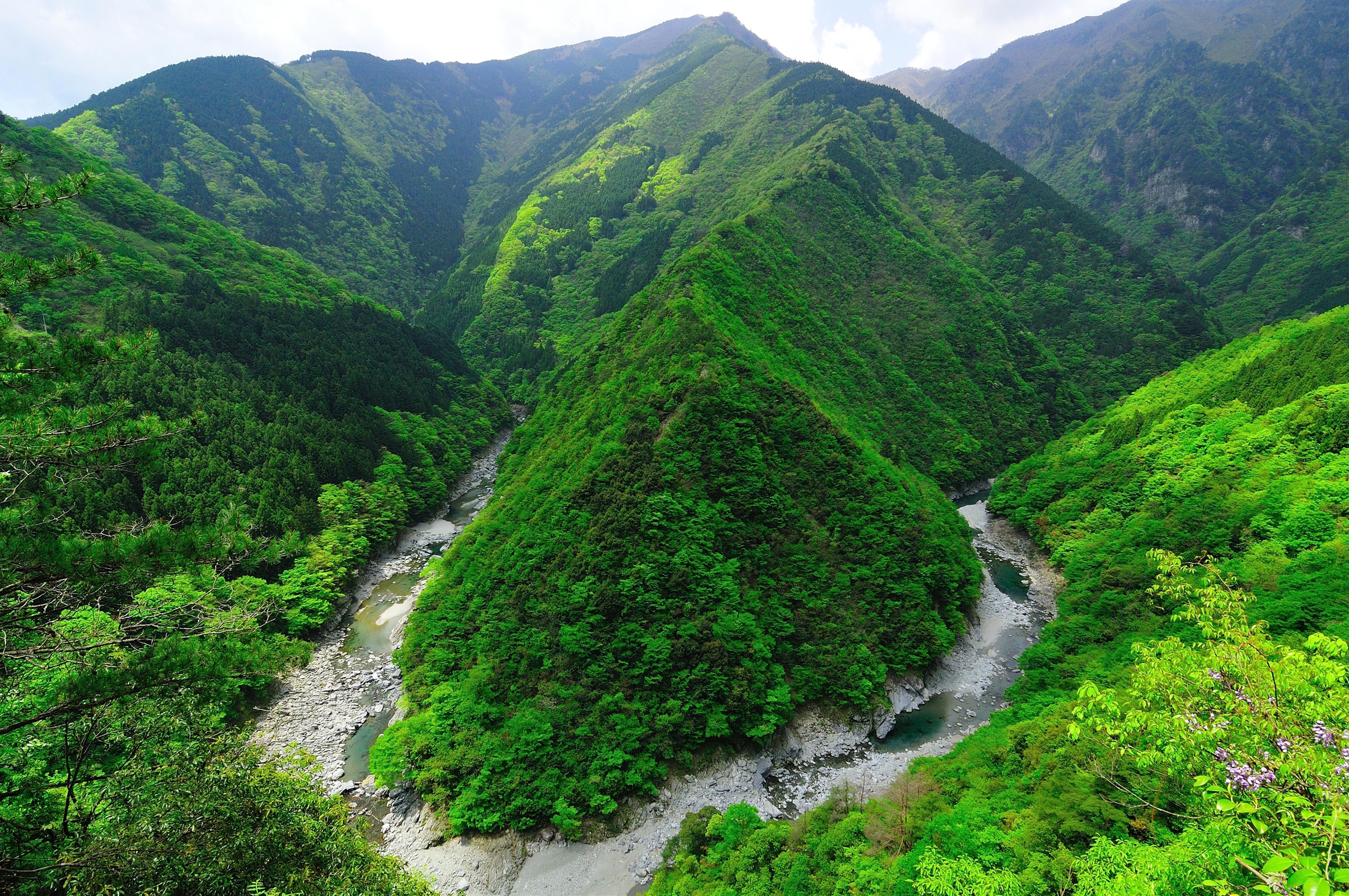 tokushima_iya.jpg